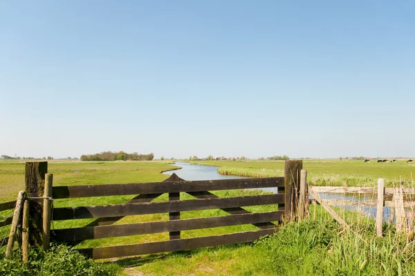 Tierras agrícolas holandesas —  Fotos de Stock