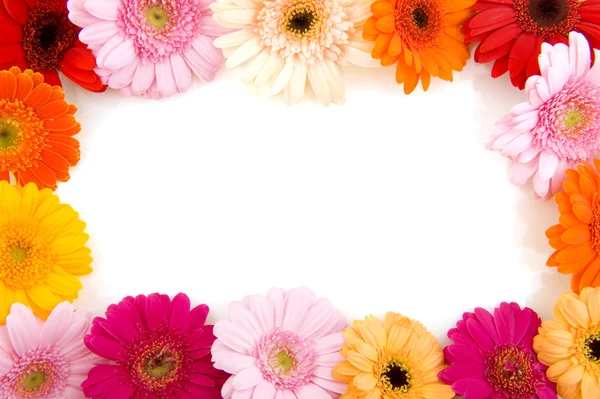 Renkli çiçek çerçeve — Stok fotoğraf