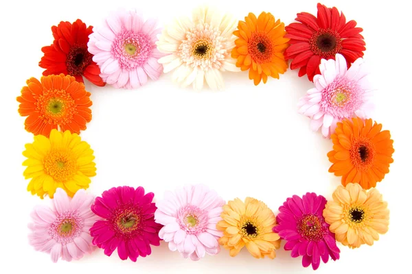 Farbenfroher Blumenrahmen — Stockfoto
