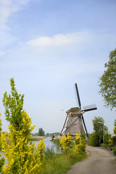 Moulin à vent néerlandais — Photo