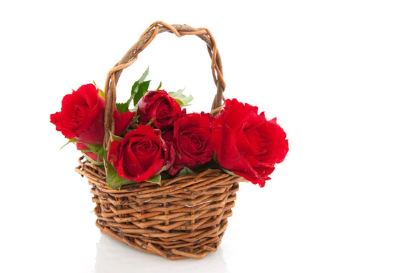 篮子里的红玫瑰 — 图库照片