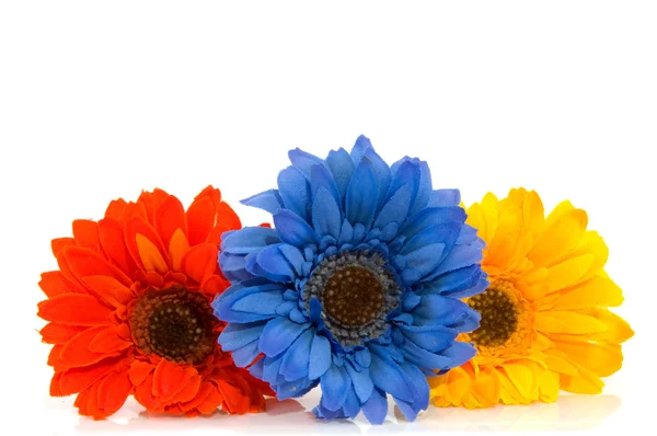 Barevné hedvábné květiny — Stock fotografie