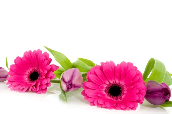 Rosafarbene Blumengirlande — Stockfoto