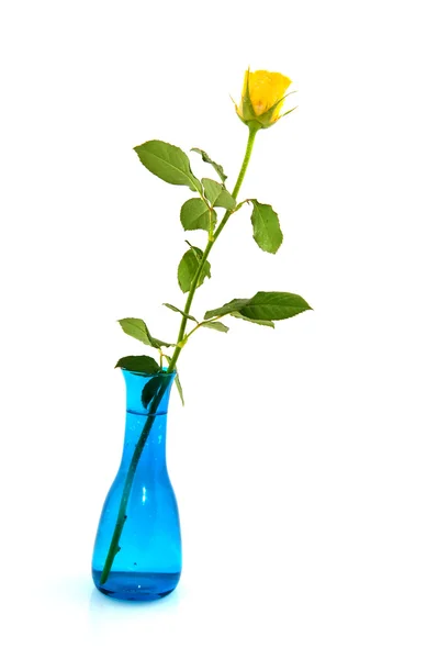 Μπλε βάζο με κίτρινο τριαντάφυλλο — Φωτογραφία Αρχείου