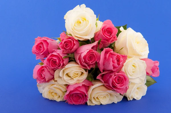 Bouquet rose su blu — Foto Stock