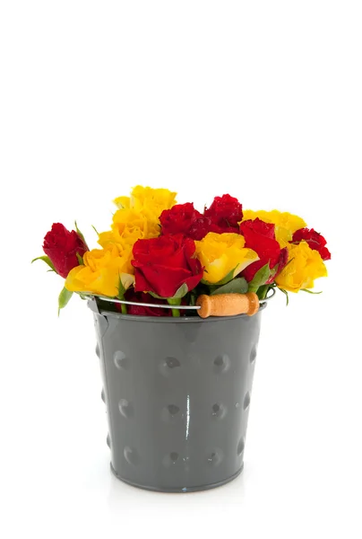 Bucket with roses — Stock Photo, Image