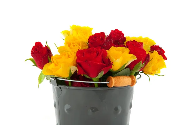 Kbelík s růží — Stock fotografie