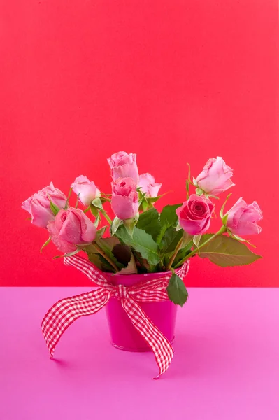 Rosas coloridas — Foto de Stock