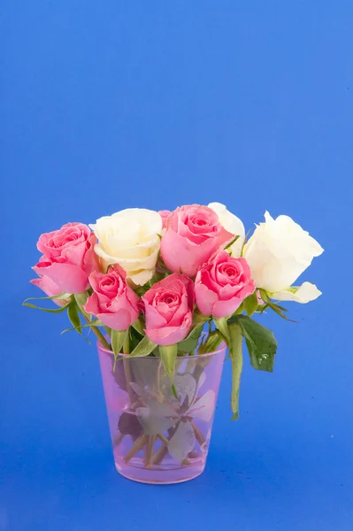 Bouquet roses on blue — Stock Photo, Image