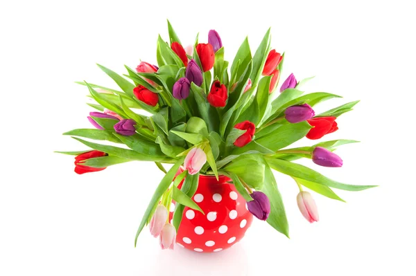 Colorful tulips in red vase — Stock Photo, Image