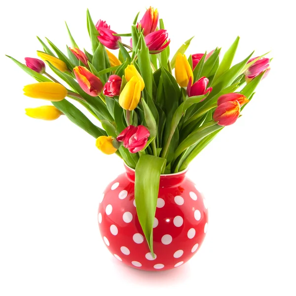 Tulipanes coloridos en jarrón rojo — Foto de Stock