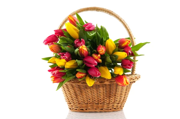 Koš s tulipány — Stock fotografie