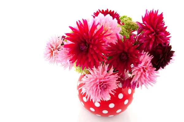 Bouquet of Dahlias — Stock Photo, Image