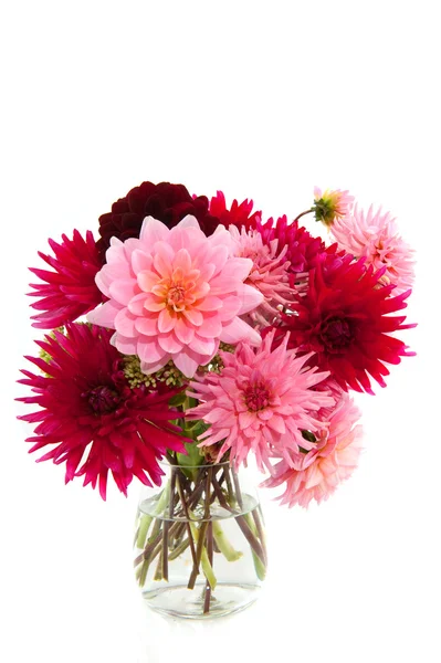 Bouquet of Dahlias — Stock Photo, Image