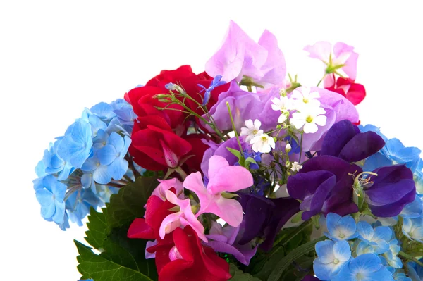 Kerti virágok — Stock Fotó