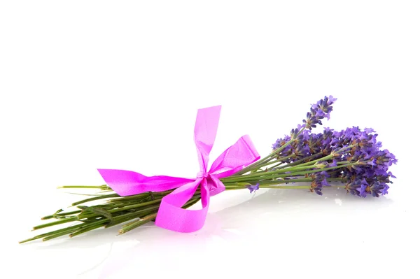Lavendel mit rosa Schleife — Stockfoto