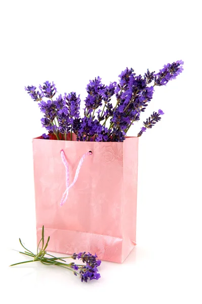 Lavendel in roze papieren zak — Stockfoto