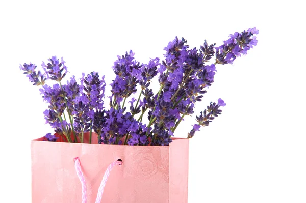 Lavendel in papieren zak — Stockfoto