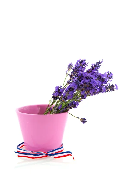 Boeket lavendel in roze bloempot — Stockfoto