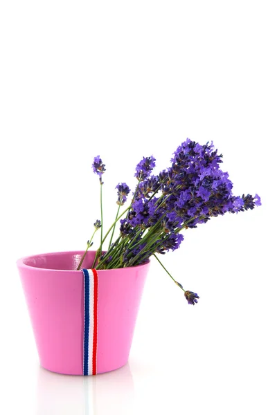Bouquet Lavender in bucket — Stock Photo, Image