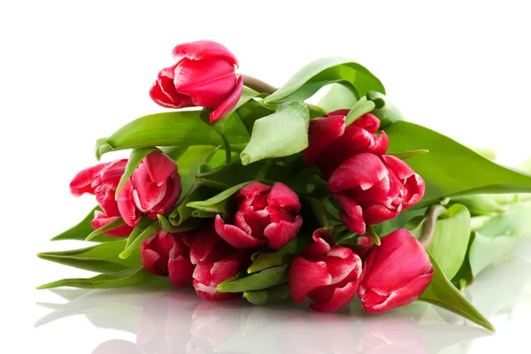Červené a bílé tulipány — Stock fotografie
