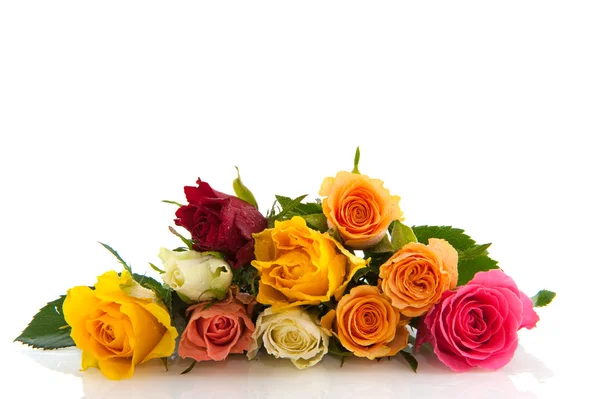 Kleurrijke rozen Rechtenvrije Stockafbeeldingen