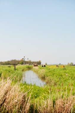 Watermill dikey Hollandalı peyzaj