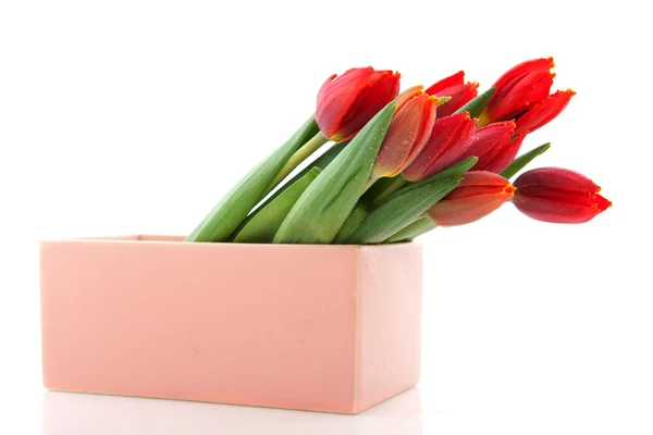 Tulipanes rojos en florero moderno —  Fotos de Stock