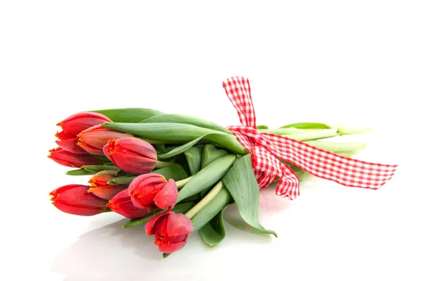 Bouquet red tulips — Stock Photo, Image