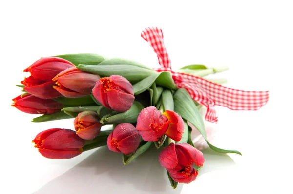 Bouquet tulipani rossi — Foto Stock