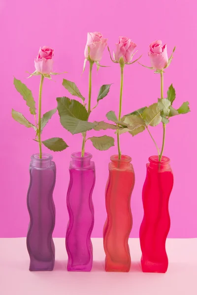 Wiersz z kolorowych róż na NK — Zdjęcie stockowe