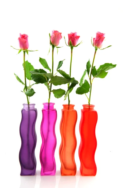 Wiersz z kolorowe róże — Zdjęcie stockowe