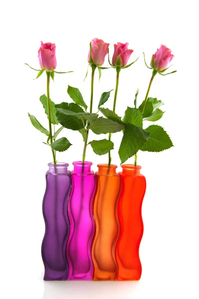 Řádek s barevné růže — Stock fotografie