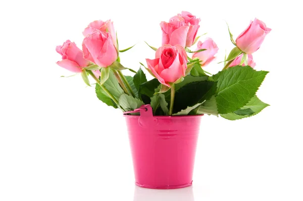 Rosas de buquê em balde rosa — Fotografia de Stock