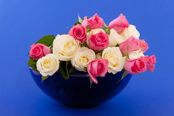 Bouquet rose in blu — Foto Stock