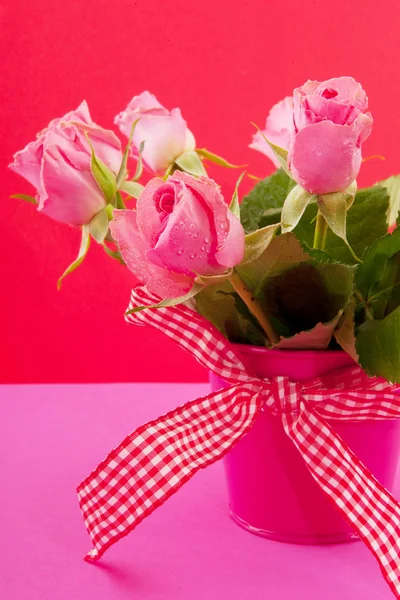 Roze rozen op rood — Stockfoto