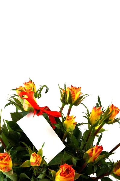 Πορτοκαλί τριαντάφυλλα με κάρτα — Φωτογραφία Αρχείου