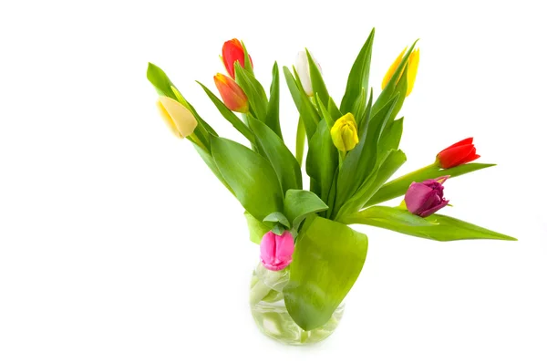 Vaso con tulipani — Foto Stock