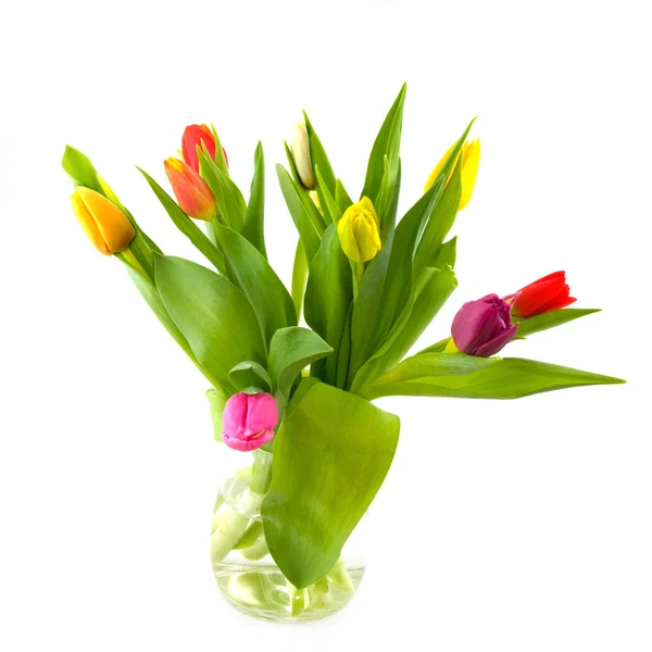 Jarrón de vidrio con tulipanes —  Fotos de Stock