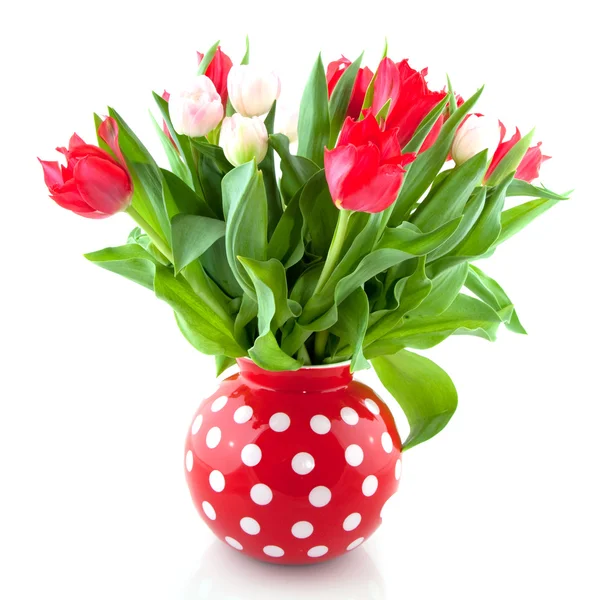 Букетные тюльпаны — стоковое фото