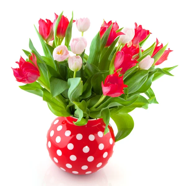 Bouquet cheerful tulips — Stock Photo, Image