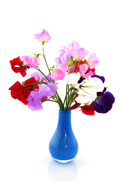Kwiaty ogrodowe vetching — Zdjęcie stockowe