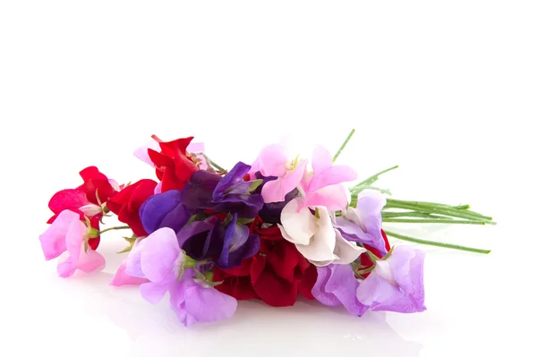 Kerti virágok vetching — Stock Fotó