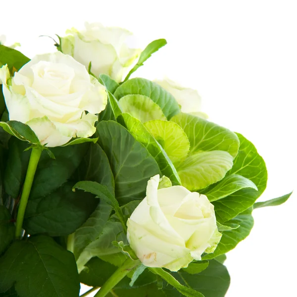 Белые розы — стоковое фото