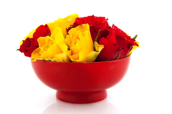 Czerwone róże w kubeczkach jajko żółty — Zdjęcie stockowe
