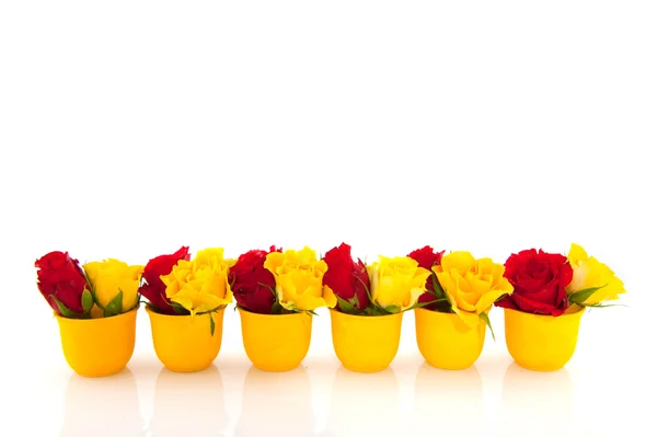 Κόκκινα και κίτρινα τριαντάφυλλα σε κίτρινο αυγό κύπελλα — 图库照片