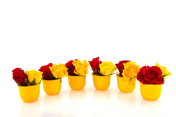 Czerwone i żółte róże w kubeczkach jajko — Zdjęcie stockowe