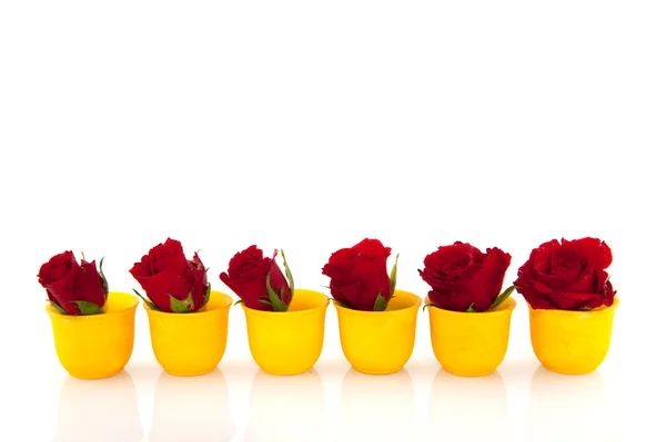 Κόκκινα τριαντάφυλλα σε κίτρινο αυγό κύπελλα — Φωτογραφία Αρχείου