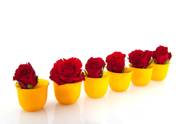 Κόκκινα τριαντάφυλλα σε κίτρινο αυγό κύπελλα — Φωτογραφία Αρχείου
