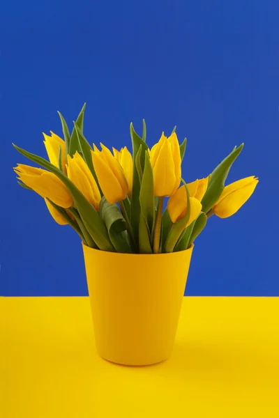 カラフルな黄色のチューリップ — ストック写真
